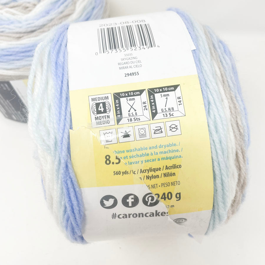 Caron Baby Cakes Yarn - Skygazing