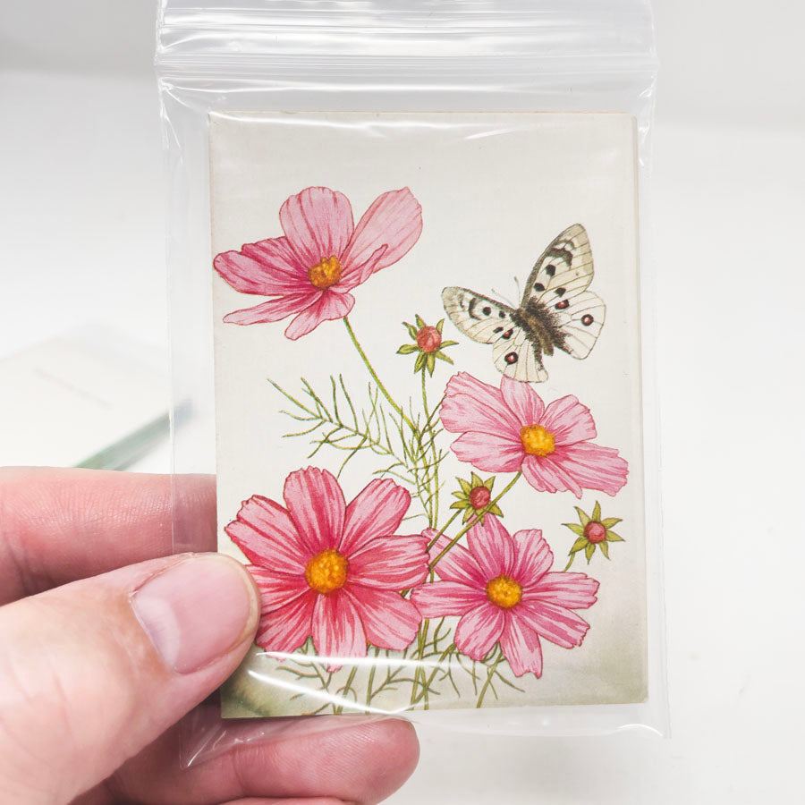 Vintage 1978 Sunrise Publication Gift Notecards