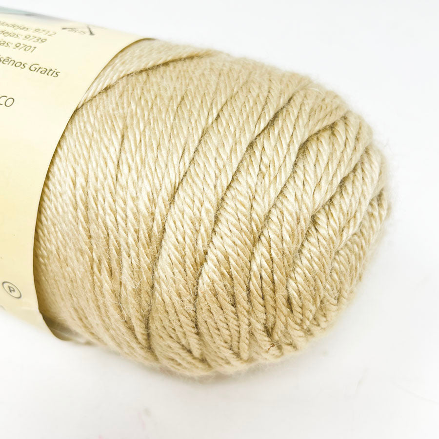 Caron Simply Soft Yarn - Bone