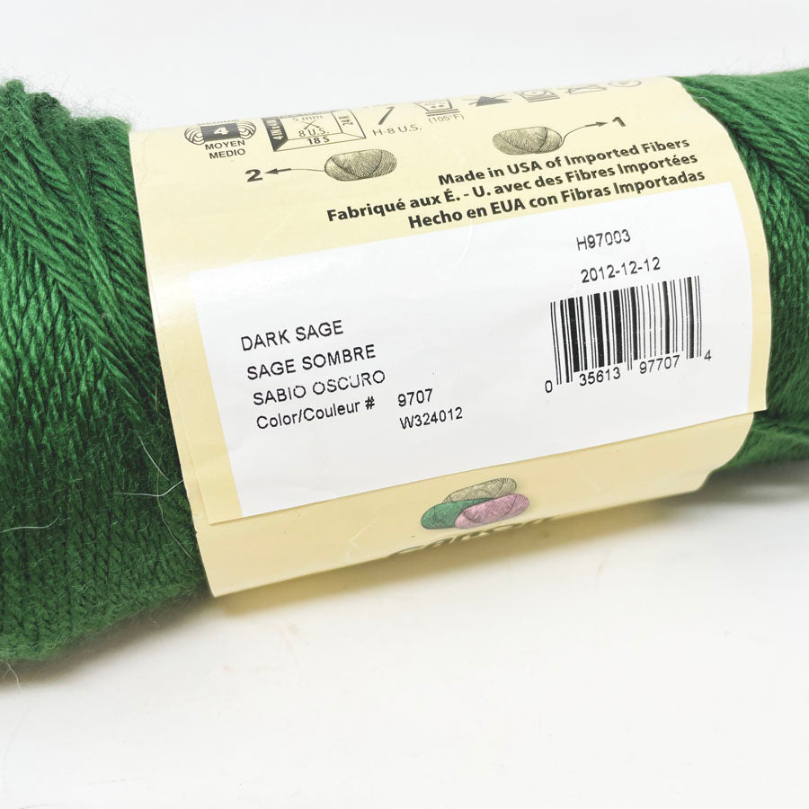 Caron Simply Soft Yarn - Dark Sage