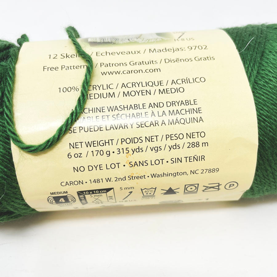 Caron Simply Soft Yarn - Dark Sage