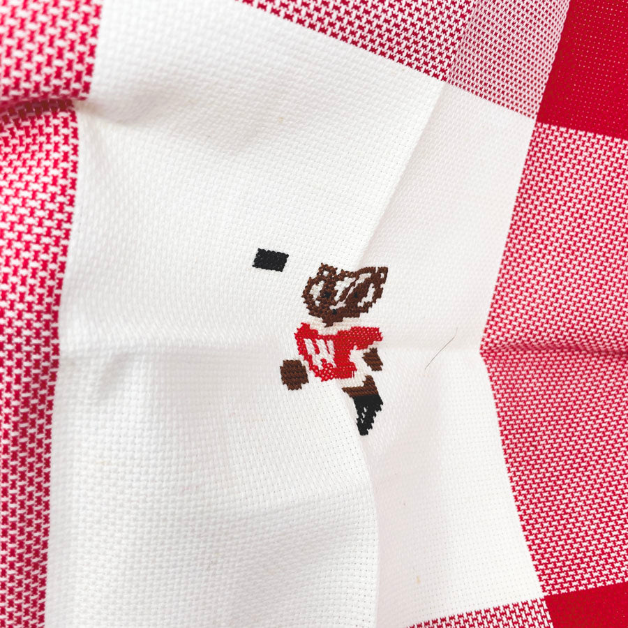 Vintage Bucky Badger Cross Stitch Kit - Started