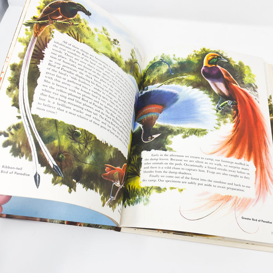 Vintage "The Story of a Natural History Expedition" Book