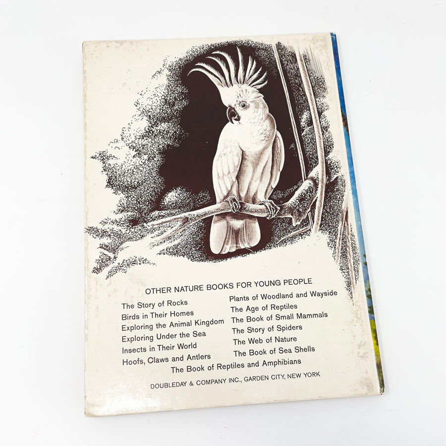 Vintage "The Story of a Natural History Expedition" Book