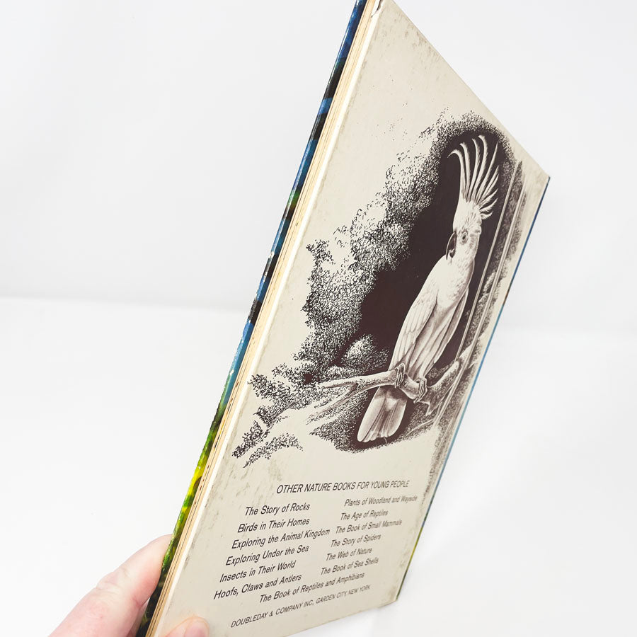 Vintage "The Story of a Natural History Expedition" Book