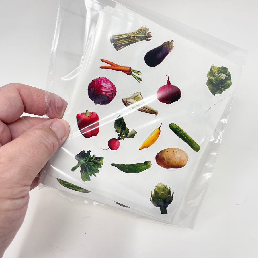 6" x 9" Assorted Bags of Kids Stickers