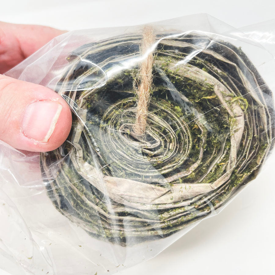 Moss Ribbon