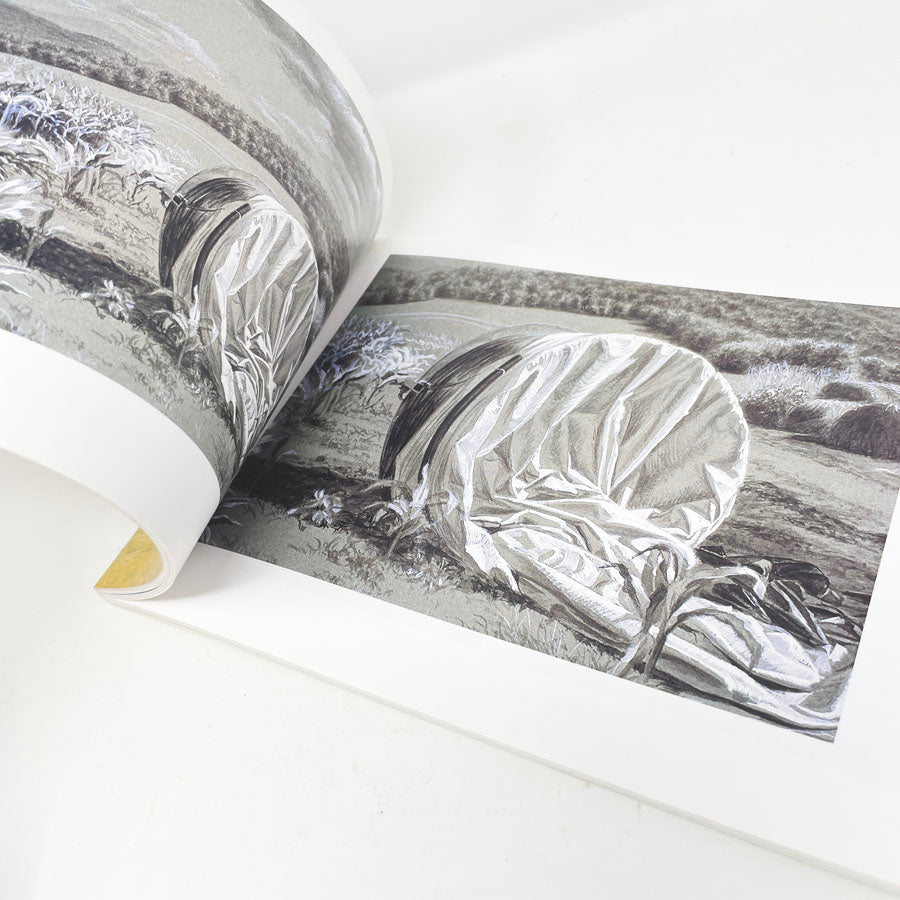 The Luminous Brush Book by Altoon Sultan