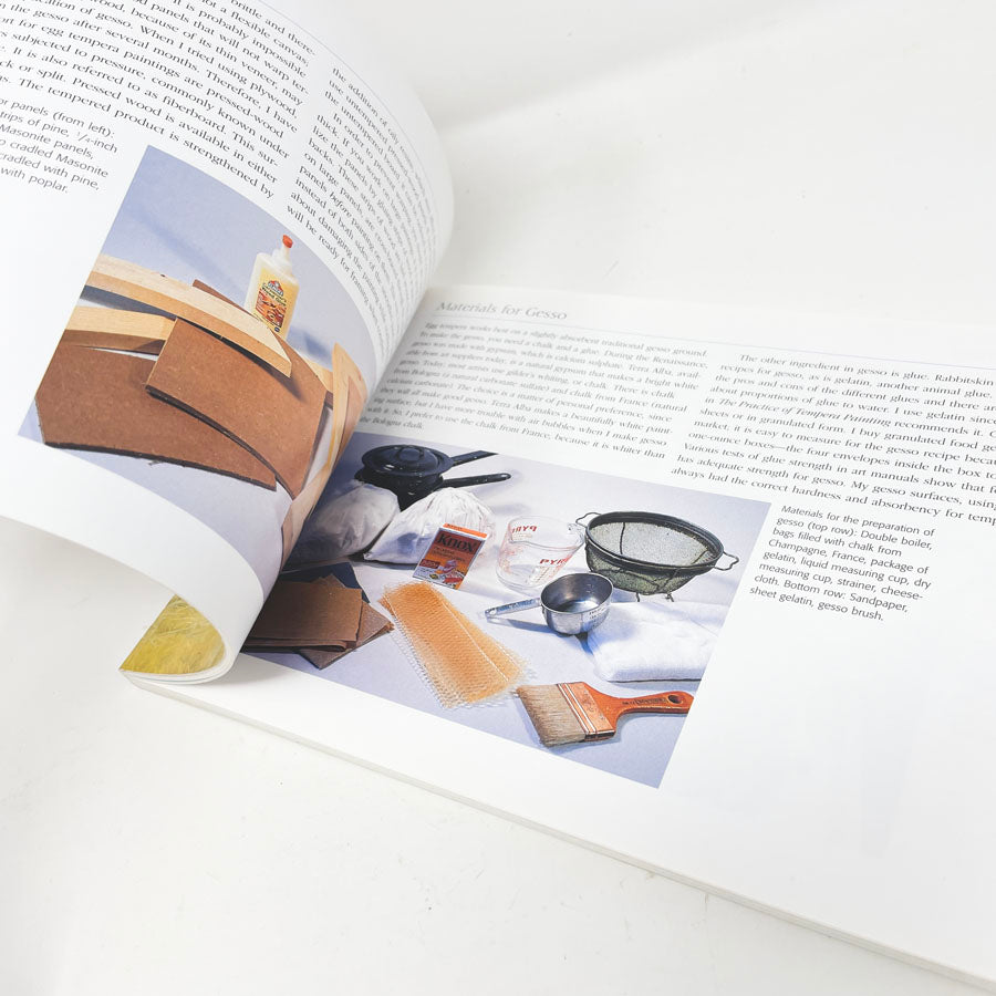 The Luminous Brush Book by Altoon Sultan
