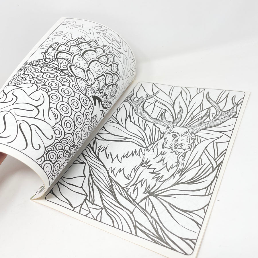 Kappa Wildlife to Color Coloring Book