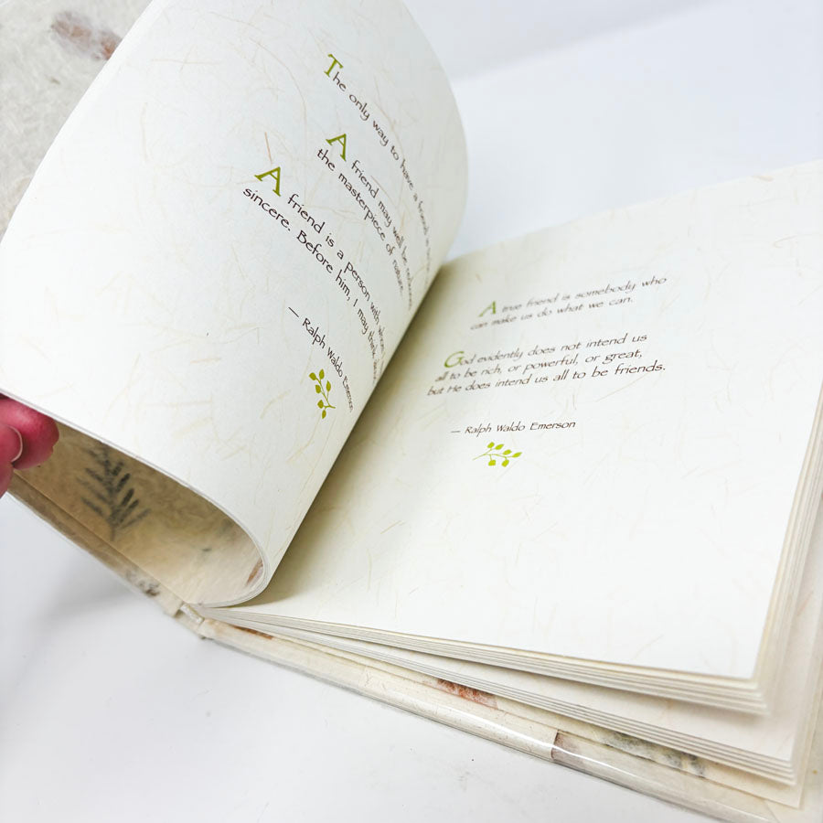 The Language of Friendship Book