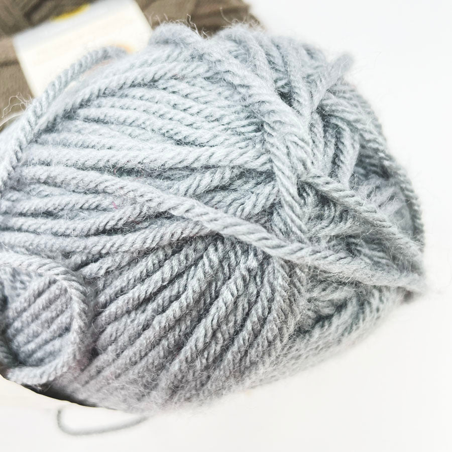 Bundle of Lion Brand Vanna's Choice Yarn