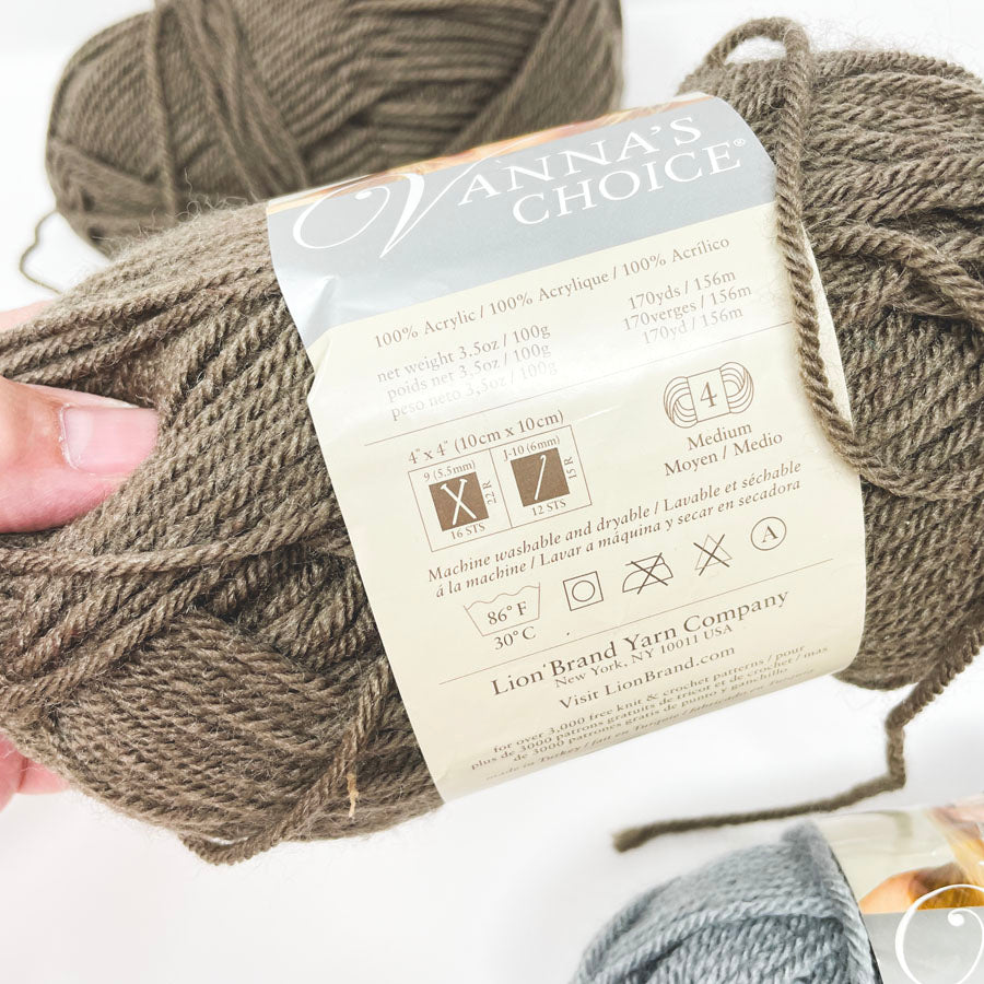 Bundle of Lion Brand Vanna's Choice Yarn