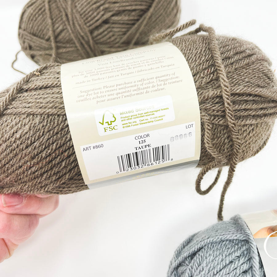 Bundle of Lion Brand Vanna's Choice Yarn