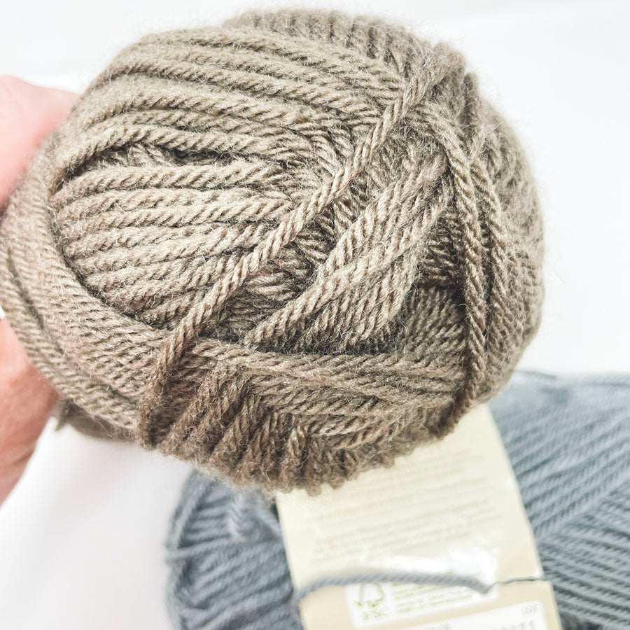Bundle of Lion Brand Vanna's Choice Yarn