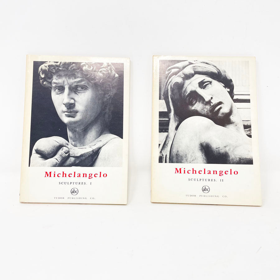 Michelangelo Sculpture 1 & 2 Set