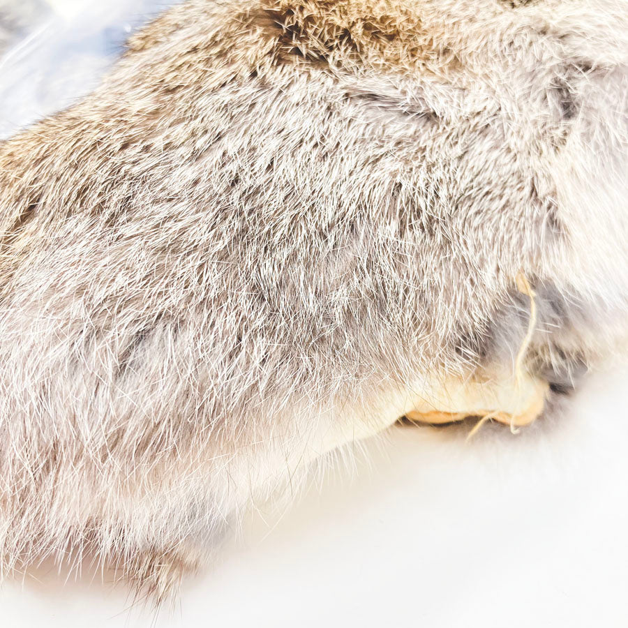 Assorted Rabbit Pelt Packs