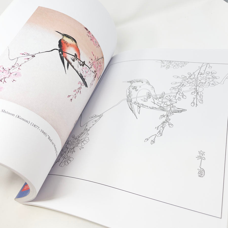 In a Japanese Garden Coloring Books