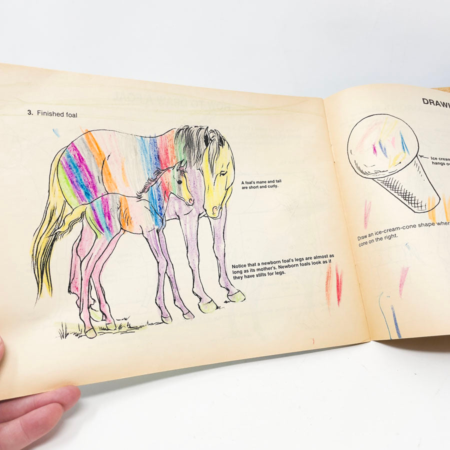 Drawing Horses Booklet - 1985