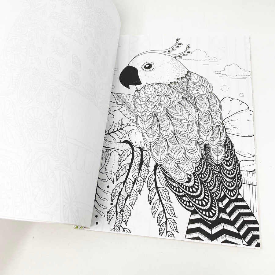 Colorful Animal Kingdom Adult Coloring Book