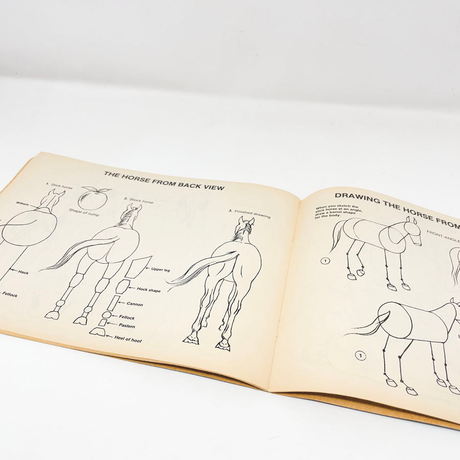 Drawing Horses Booklet - 1985