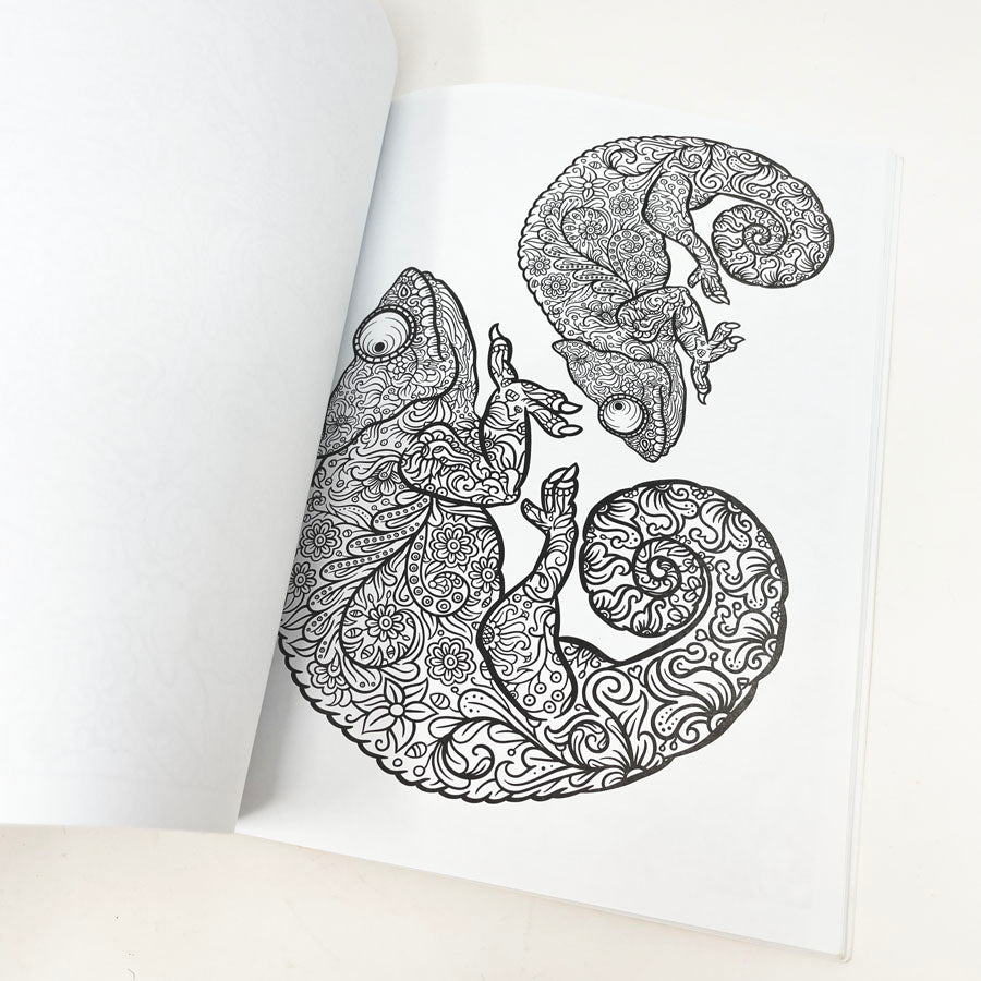 Everyone Loves Coloring Animals Adult Coloring Book