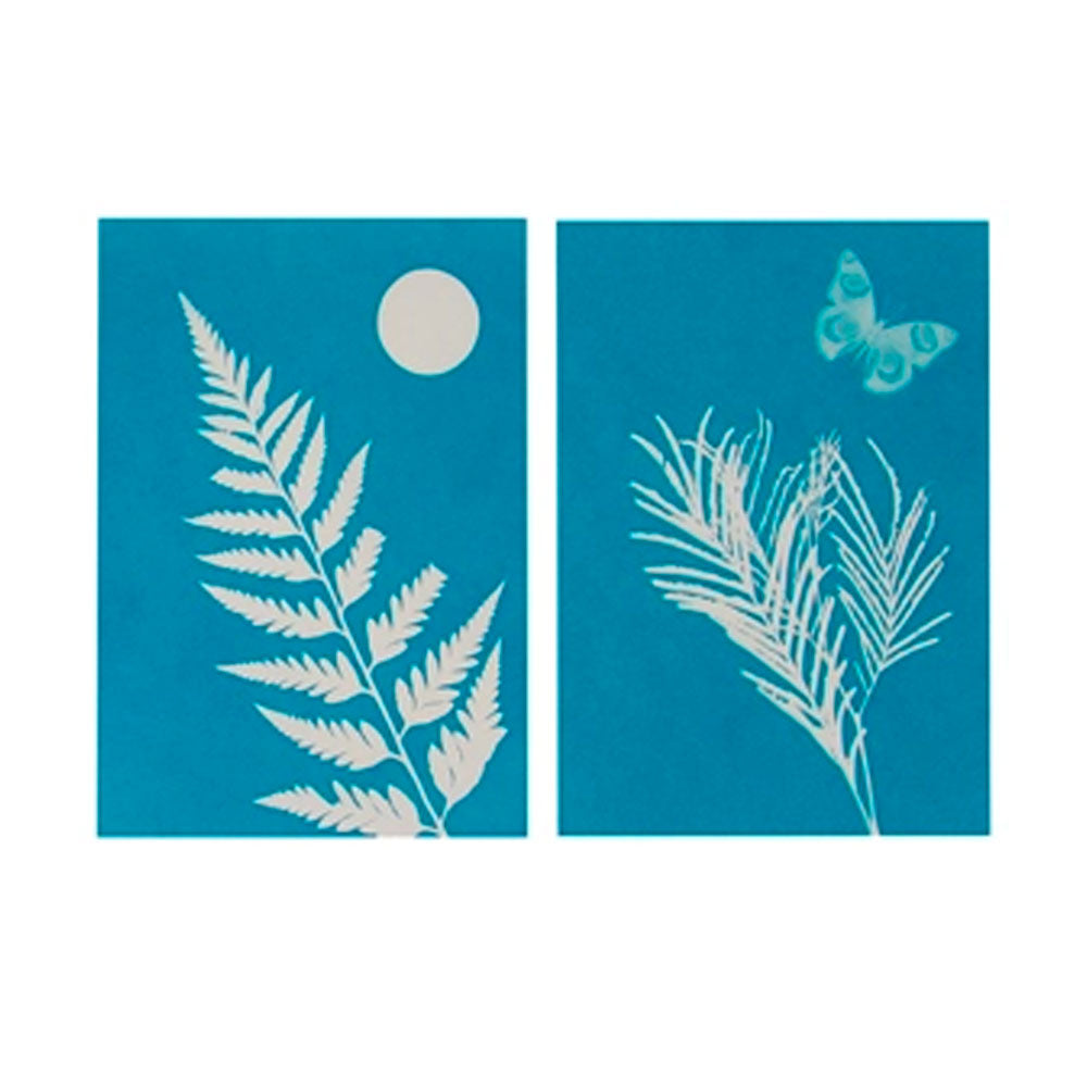 NEW // Outdoor Discovery Solar Print Kit