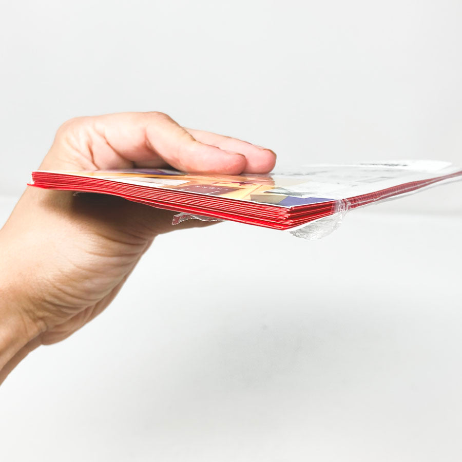 Red Translucent Vellum Envelopes (9)