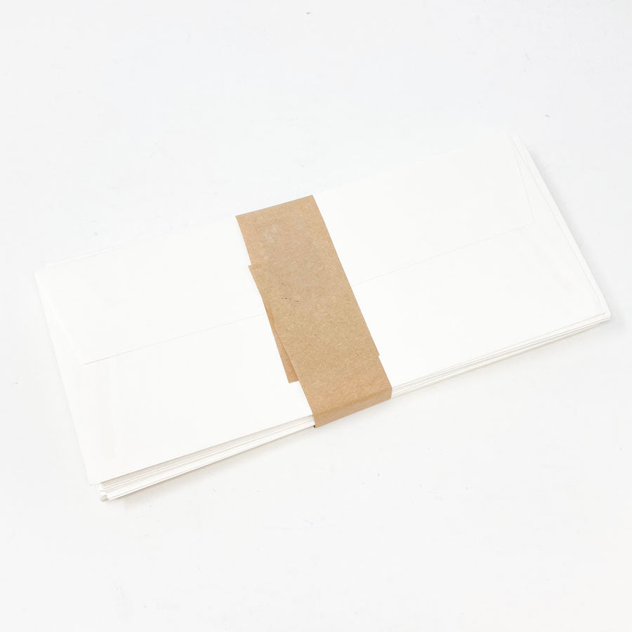 9-1/2"x4-1/4" Envelopes (1)