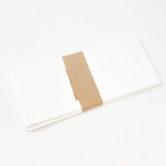 9-1/2"x4-1/4" Envelopes (1)