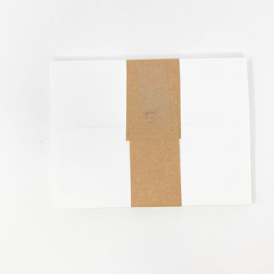 4-3/4"x6-1/2" White Envelopes - Pack of 19