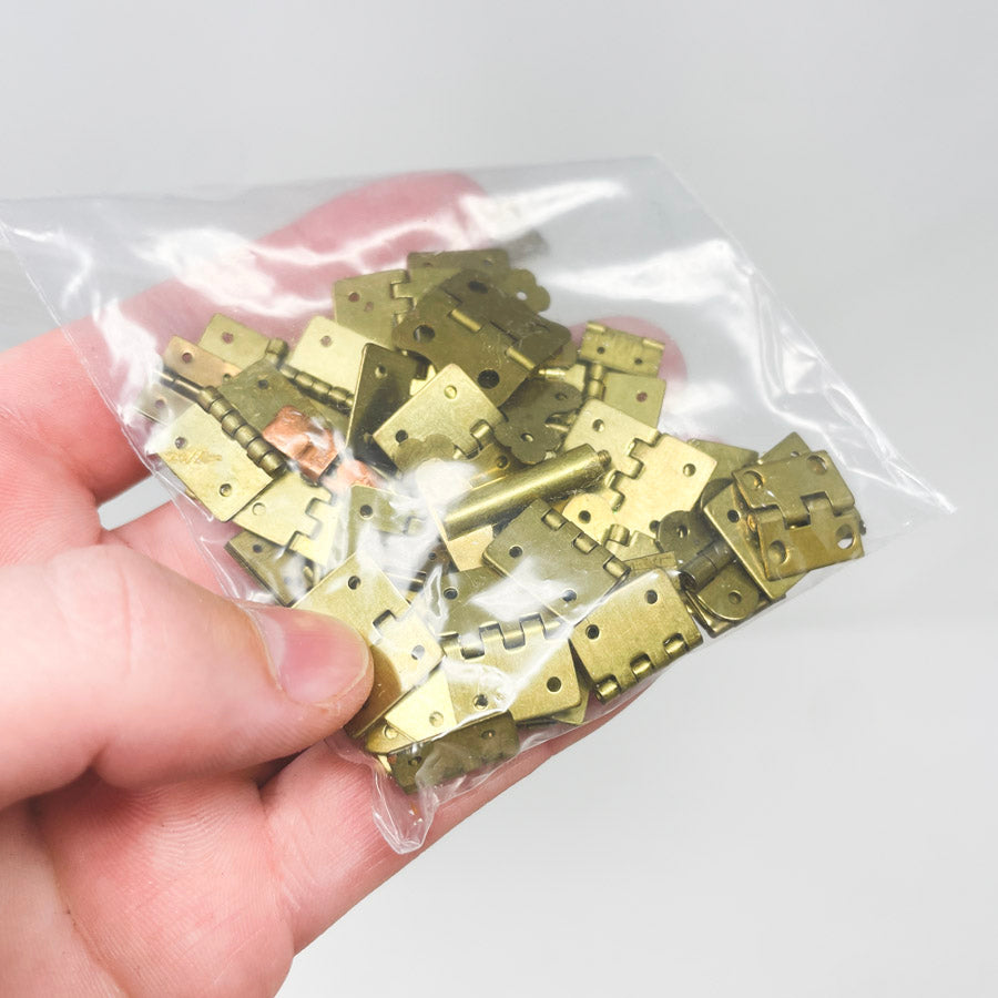 Brass Small Hinge Bag