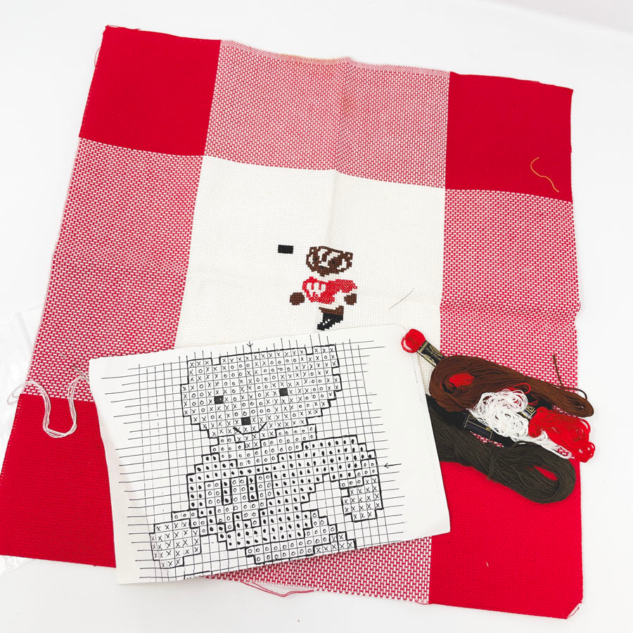 Vintage Bucky Badger Cross Stitch Kit - Started