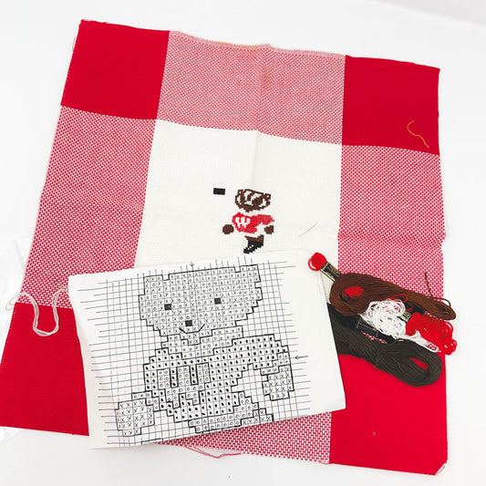 Vintage Bucky Badger Cross Stitch Kit - Started