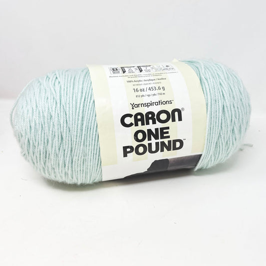 Caron 1lb Yarn - Pale Green