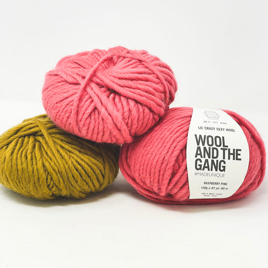 Pink Wool and the Gang Yarn Bundle