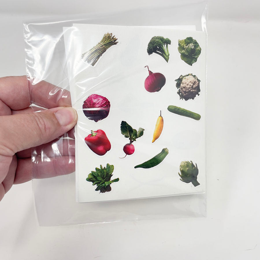 6" x 9" Assorted Bags of Kids Stickers