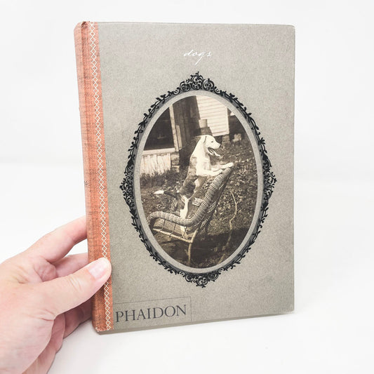 Dogs: Collected by Catherine Johnson Words by William Wegman
