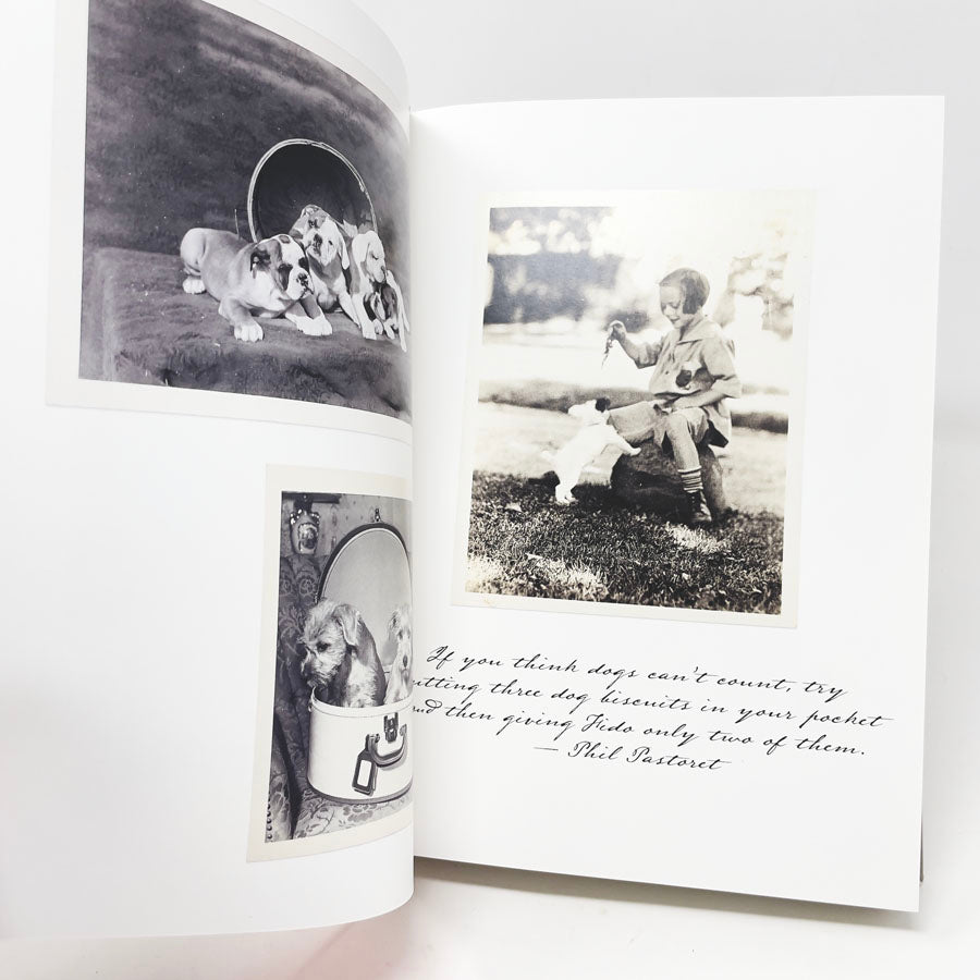 Dogs: Collected by Catherine Johnson Words by William Wegman