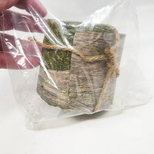 Moss Ribbon