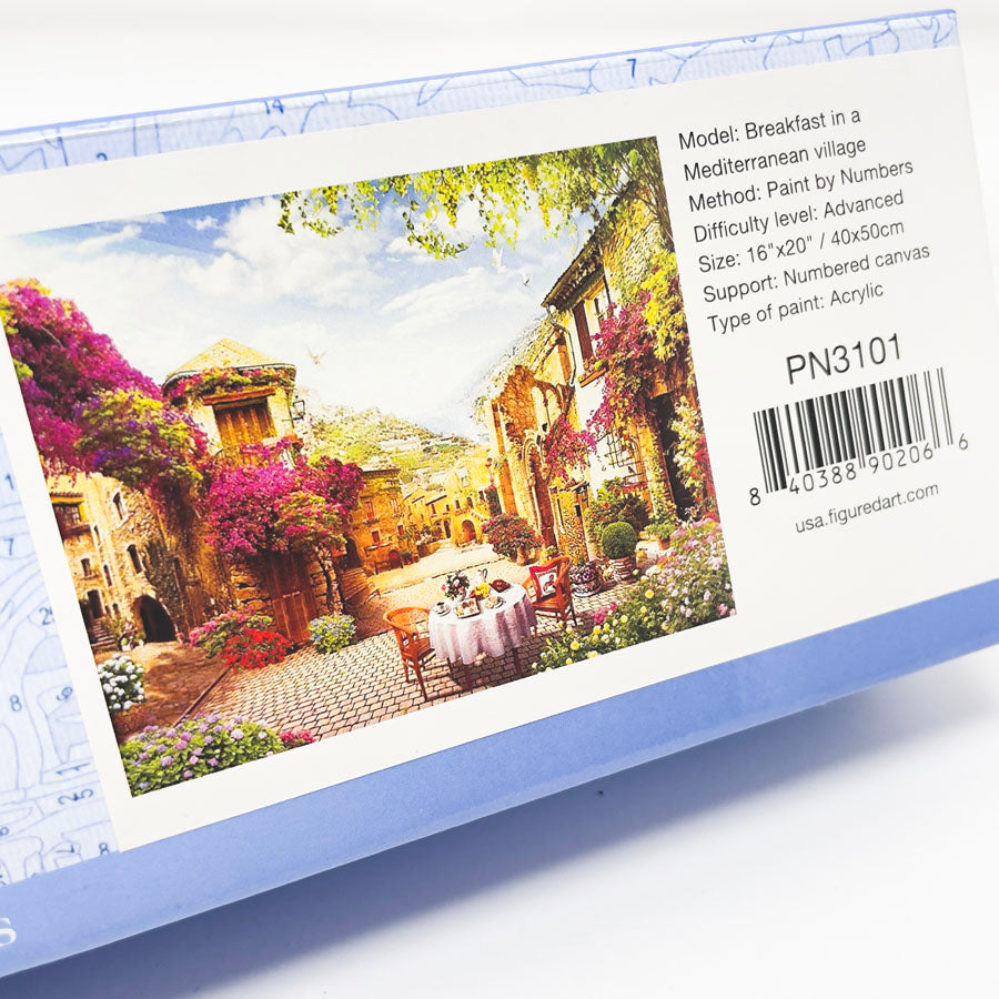 Figured Art Paint By Numbers Kit and Canvas Frame - PN3101