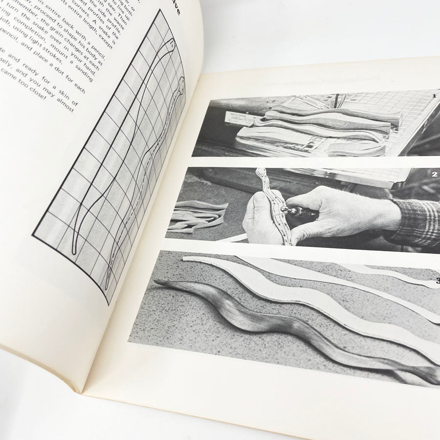 A Beginners Look at Woodcarving with Creative Power Tools Book