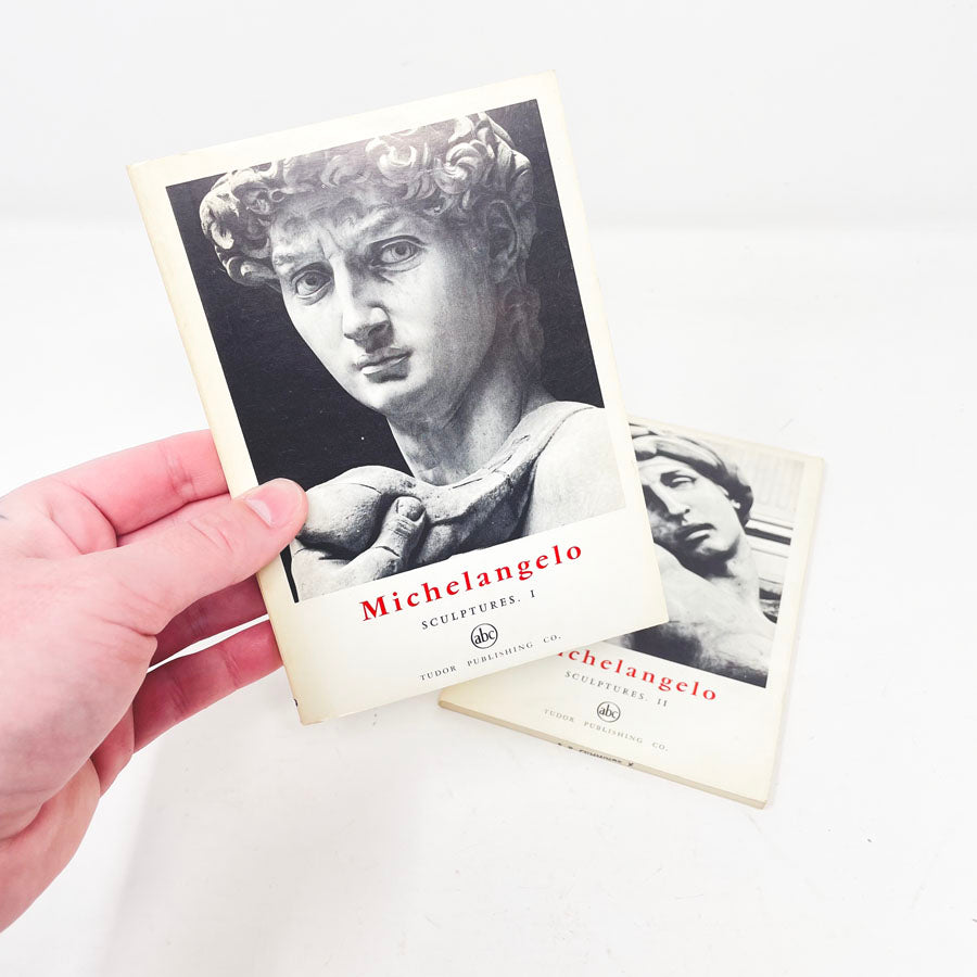 Michelangelo Sculpture 1 & 2 Set