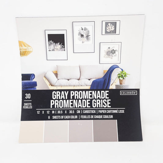 Gray Promenade - Colorbok 12" x 12" Paper Pack