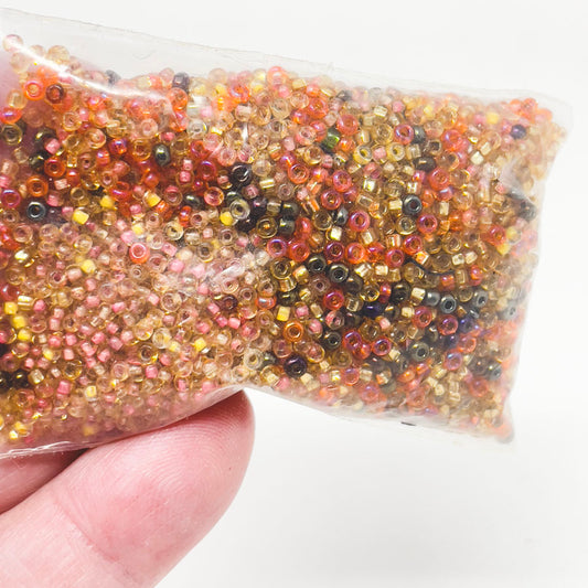 Assorted Seed Beads - Warm Tones