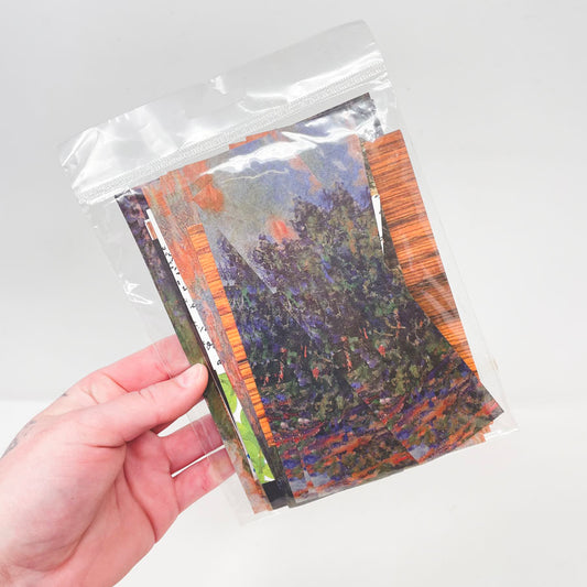 Scrap Paper Packs - Pick a Pack