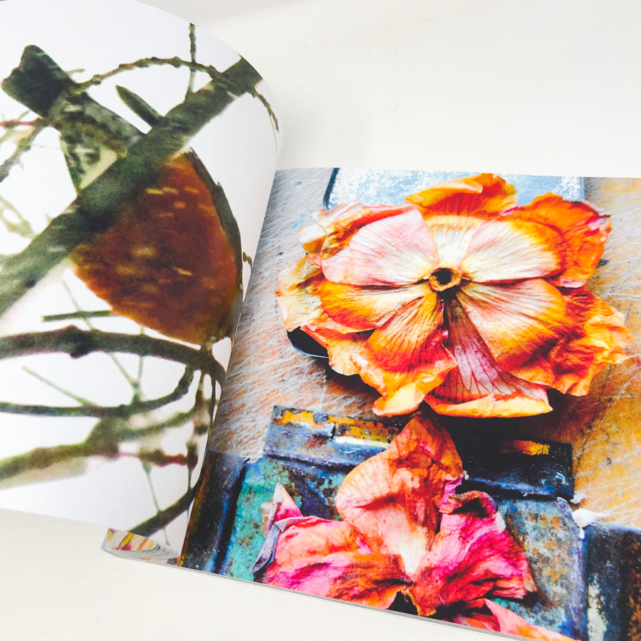 "Dancing On Raindrops: A Visual Journal" by Roxanne Evans Stout