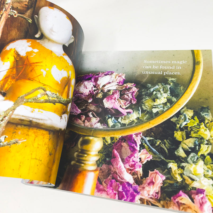 "Dancing On Raindrops: A Visual Journal" by Roxanne Evans Stout