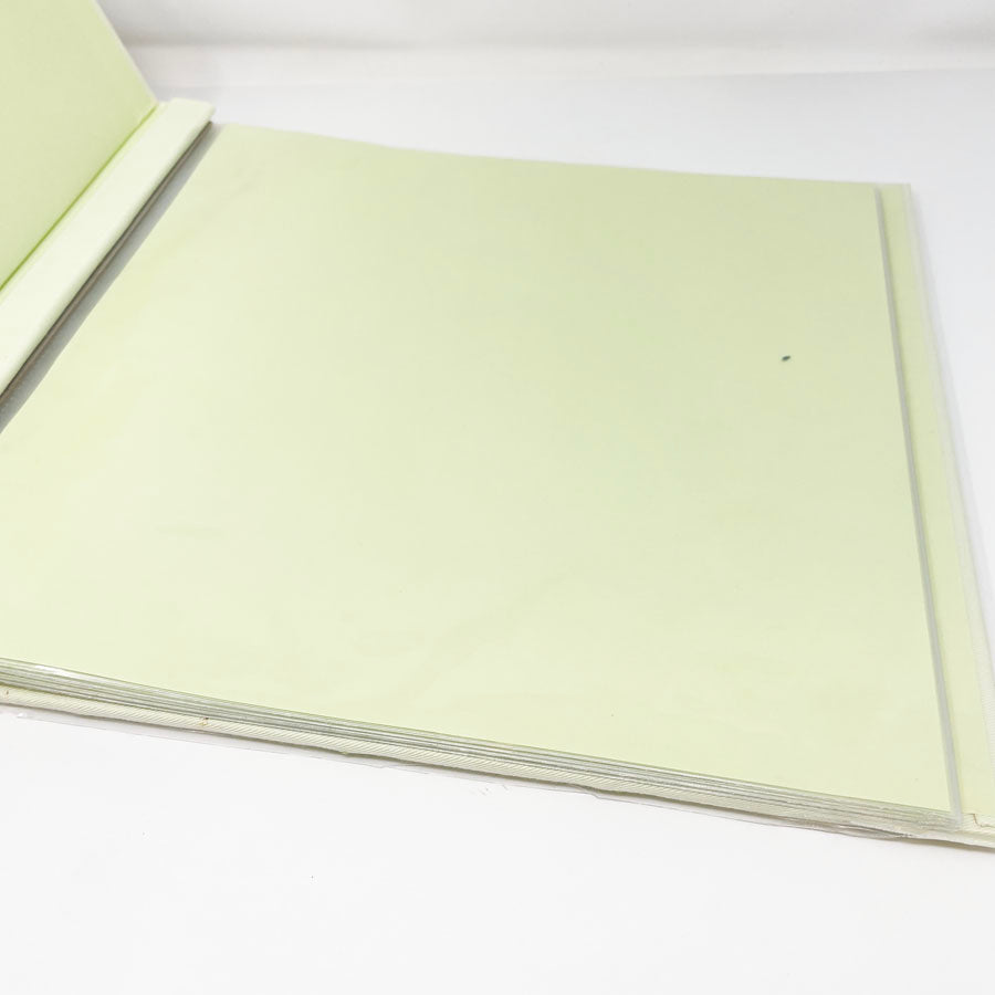 12" Martha Stewart Green Scrapbook
